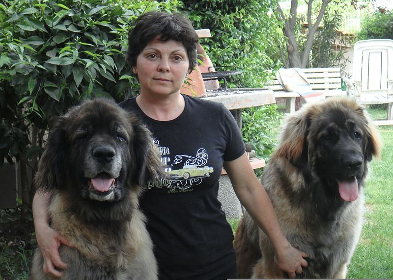 La venafrana Stéphanie Palumbo è il nuovo Presidente del Club Italiano del Leonberger