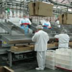 Gam, cassa integrazione per un altro anno