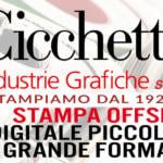 CICCHETTI BANNER BIG