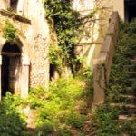 RealeBLOG1