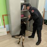 foto cinofili scuola 1