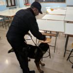 foto cinofili scuola 2