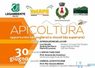 L’apicoltura fa nascere nuove imprese: a Castel del Giudice il convegno per creare nuove opportunità lavorative in Alto Molise