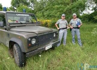 Carpinone (IS): Raccoglie tartufi con attrezzatura vietata, 50enne nella rete dei Carabinieri Forestale.