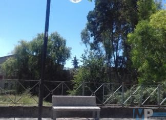 Non si muove foglia per rimuovere la fittissima e pericolosa boscaglia all’ex scuola media “Pilla” di Via Maiella a Venafro