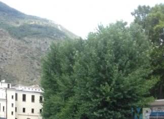 I venafrani sfamano cigni, anatre ed anatroccoli che vivono nelle acque sorgive della città, vista l’assenza del Comune