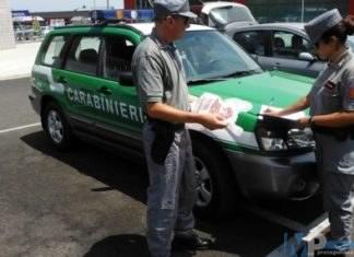 Frosolone (IS): Buste per la spesa illegali. Scattano controlli e sequestri dei Carabinieri Forestali.