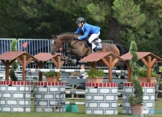 Sport Equestri: Concorso F.I.S.E. l’Associazione ASD Cassandra Equitazione gareggia ad Atina dal 31 al 2 settembre 2018