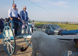 San Martino in Pensilis, Tavola rotonda sulle Carresi. Toma: «Un patrimonio da sostenere e implementare attraverso l’istituzione di un Parco»
