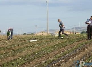 Isernia: Caporalato, scattano controlli dei Carabinieri su tutto il territorio della Provincia.