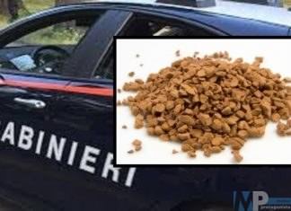Isernia: Rinvenute dai Carabinieri nell’abitazione del 47enne ricoverato per overdose, numerose dosi di “cobret”.