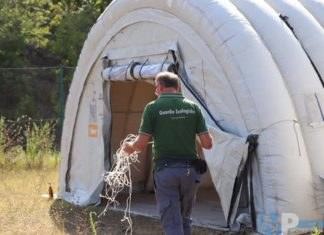 Sisma Molise-La deputata Tartaglione: “il Governo deliberi lo stato di emergenza”