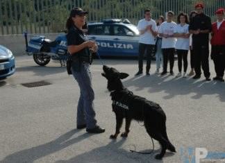 Polizia di Stato – Isernia: 25 ragazzi in Questura per il progetto “Anch’io Sono la Protezione Civile”
