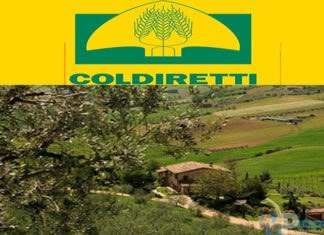 Agriturismi terranostra: in crescita le strutture Coldiretti campagna amica