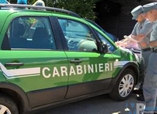 Isernia: Trasporto e smaltimento illecito di rifiuti, controlli e denunce da parte dei Carabinieri Forestali.