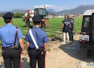 Isernia (IS): Attività di contrasto contro l’abbandono di rifiuti speciali. Quattro soggetti incappano nei controlli dei Carabinieri Forestali.