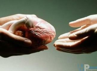 Donazione di organi al Neuromed. Nella notte tra giovedì e venerdì l’atto di solidarietà della famiglia di un paziente