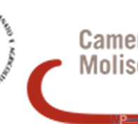 logo_cciaa_molise ok