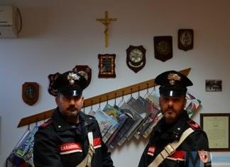 I Carabinieri di Isernia in azione sul contrasto della droga, scattano denunce e sequestri.