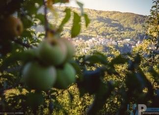 A Castel del Giudice la prima festa della mela, inaugurazione de “il giardino delle mele antiche”