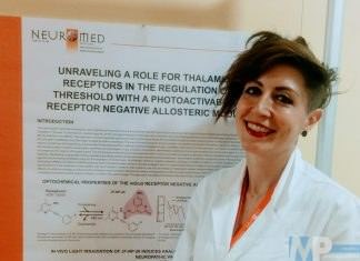 Pozzilli, I.R.C.C.S. Neuromed: Scoperto un meccanismo fondamentale per lo sviluppo del cervelletto