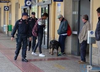Isernia: Controlli straordinari dei Carabinieri, denunce e sequestri. Impiegata l’unità cinofila antidroga del Nucleo di Chieti