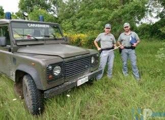 San Pietro Avellana (IS): Raccolta illecita di tartufi, una persona finisce nella rete dei Carabinieri Forestali.