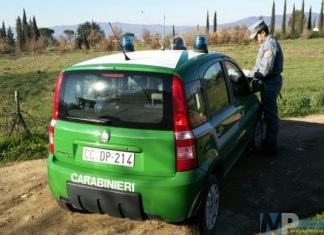 Isernia e provincia – Carabinieri in azione, furbetta smascherata dai militari; trasporto alimentari senza autorizzazioni commerciante nei guai.
