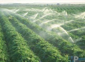 Regione Molise – Proposta di legge per qualificare i prelievi idrici per uso irriguo,