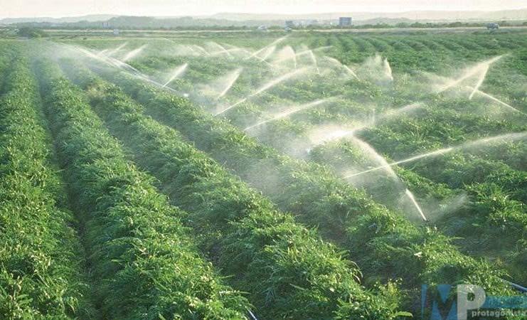 Regione Molise – Proposta di legge per qualificare i prelievi idrici per uso irriguo,