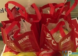 Isernia – Con la Croce Rossa, le mele scendono in piazza contro la sclerosi multipla