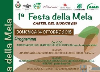 A Castel del Giudice si celebra la biodiversità con la 1° Festa della Mela, domenica 14 ottobre