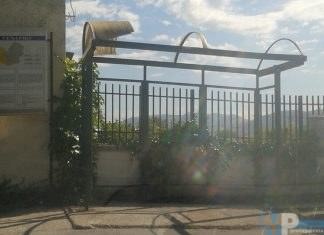 I venafrani, “rimuovere le vecchie e pericolanti pensiline alle fermate dei bus comunali”