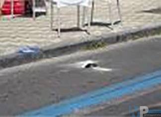 Venafro, Parcheggi: I sensori non funzionano, intanto ci si inciampa pericolosamente