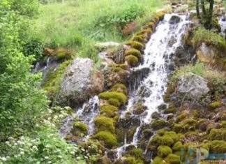 Acqua minerale Castelpizzuto, il tar molise invita la regione Molise a rettificare gli atti relativi alle due concessioni (comunale e aziendale)