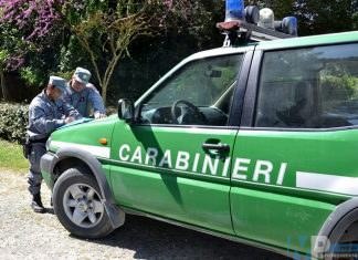 Agnone (IS): Abbandono di rifiuti. Scattano sanzioni da parte dei Carabinieri Forestali.