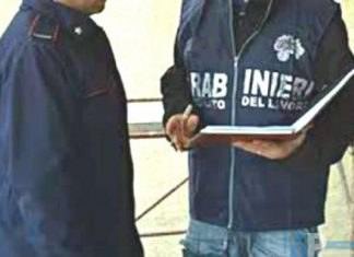 Isernia – Carabinieri in azione per tutela salute e sicurezza  sul lavoro e controlli sezione Forestale in aziende agricole.