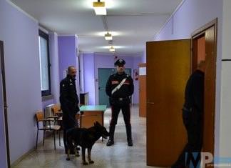 Isernia: Progetto scuole sicure. Controlli straordinari dei Carabinieri. Impiegata l’unità cinofila antidroga del Nucleo di Chieti.