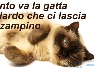 A Venafro l’uomo che … trasforma simpaticamente i più rinomati proverbi e modi di dire