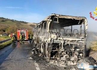 Autobus andato a fuoco lungo la Statale 87 tra Larino e Casacalenda, i chiarimenti del Servizio Mobilità della Regione Molise