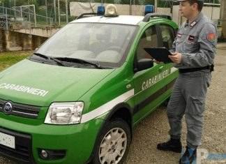 Isernia – Carabinieri Forestali: 1.500 Euro di multa ad un commerciante, vasetti miele senza etichettatura