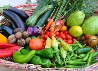 La cucina del cuore: La zucca centenaria nella dieta mediterranea, l’alimentazione “EcoFood” per prevenire ictus e infarti