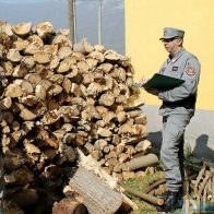 controllo CC Forestale
