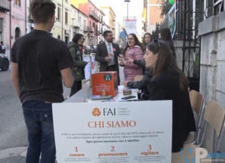 Isernia e Venafro – Ottimo successo per le giornate FAI di Primavera