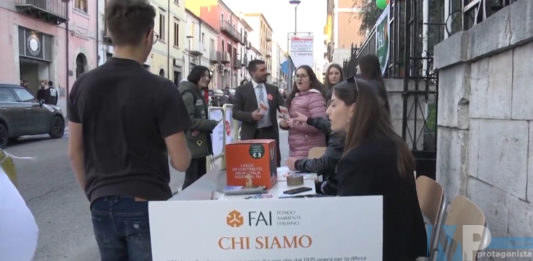 Isernia e Venafro – Ottimo successo per le giornate FAI di Primavera
