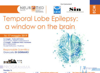Epilessia del lobo temporale, Nell’I.R.C.C.S. Neuromed nuove prospettive di studio e di cura della patologia