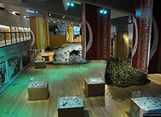 Isernia, valorizzazione Museo Nazionale del Paleolitico: lavori per oltre 400mila euro