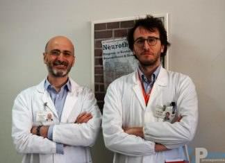 I.R.C.C.S. Neuromed, L’obesità peggiora la disabilità nella sclerosi multipla