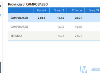 Campobasso e Termoli al Ballottaggio – Affluenza in calo rispetto al primo turno nel rilevamento alle ore 12:00