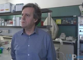 Il professor Giuseppe Lembo nominato dal Ministero della Salute come componente Gruppo di Lavoro sulla Sperimentazione animale